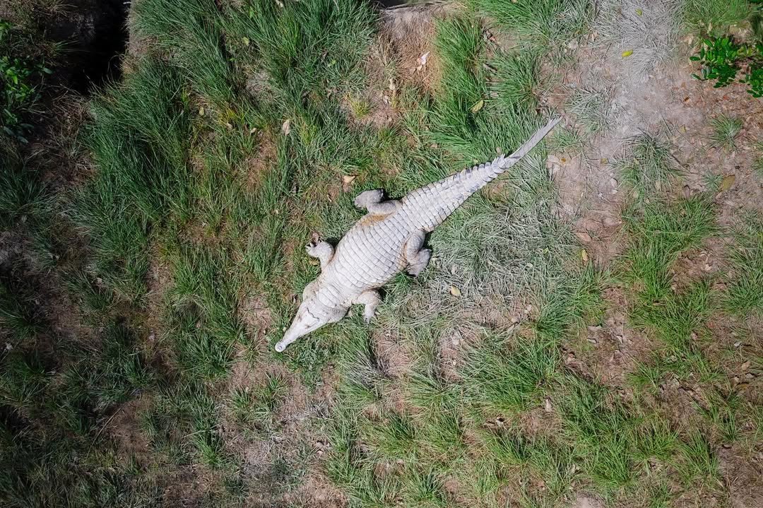 368581274_652253256884547_7738091484890092351_n