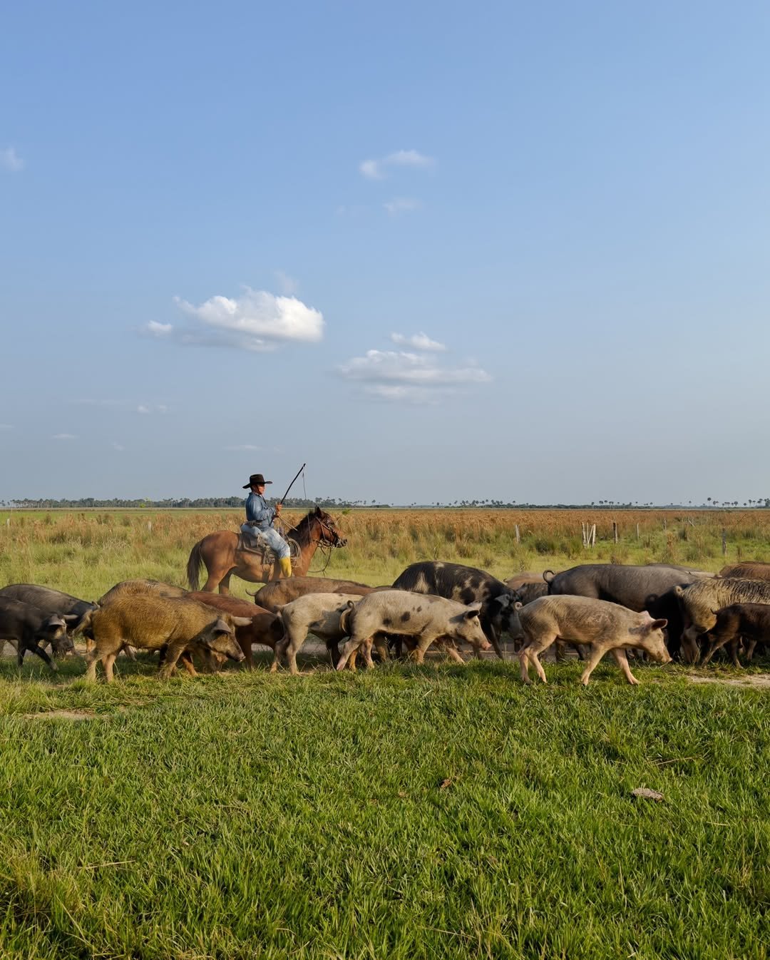 460717370_1514651065832696_8696402875068511333_n