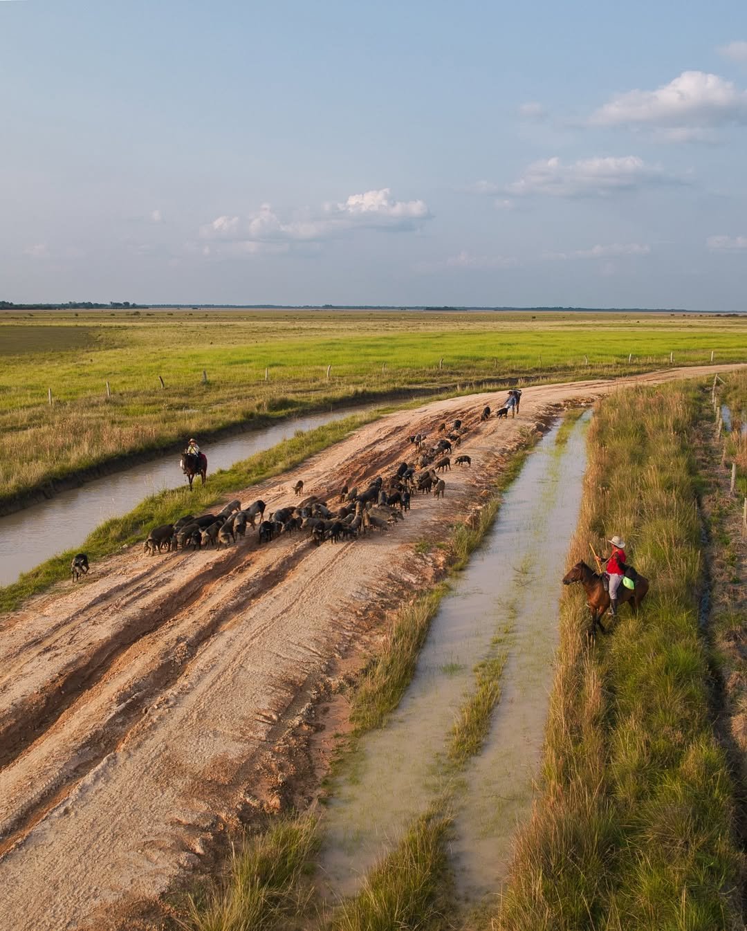 460771623_509051801759138_2883953596846979739_n