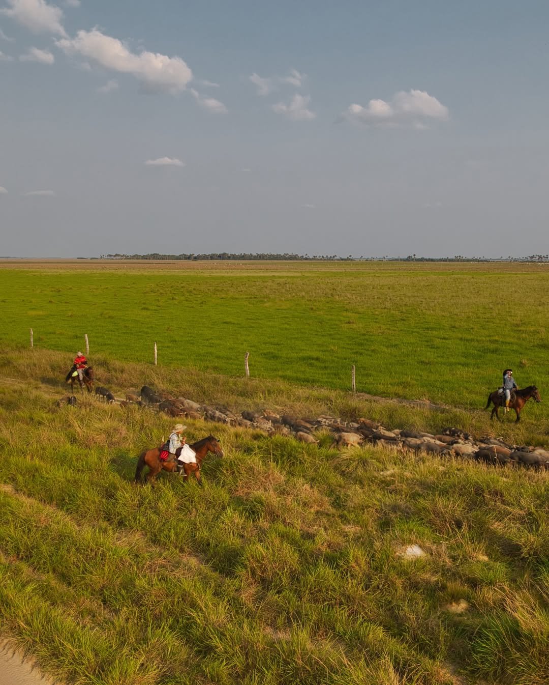 460861386_1055553782396879_2693597271091641050_n