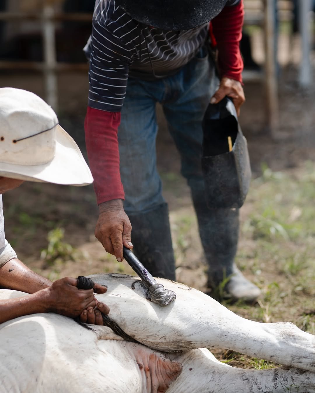 468116355_1268961127564311_1339477882884563346_n