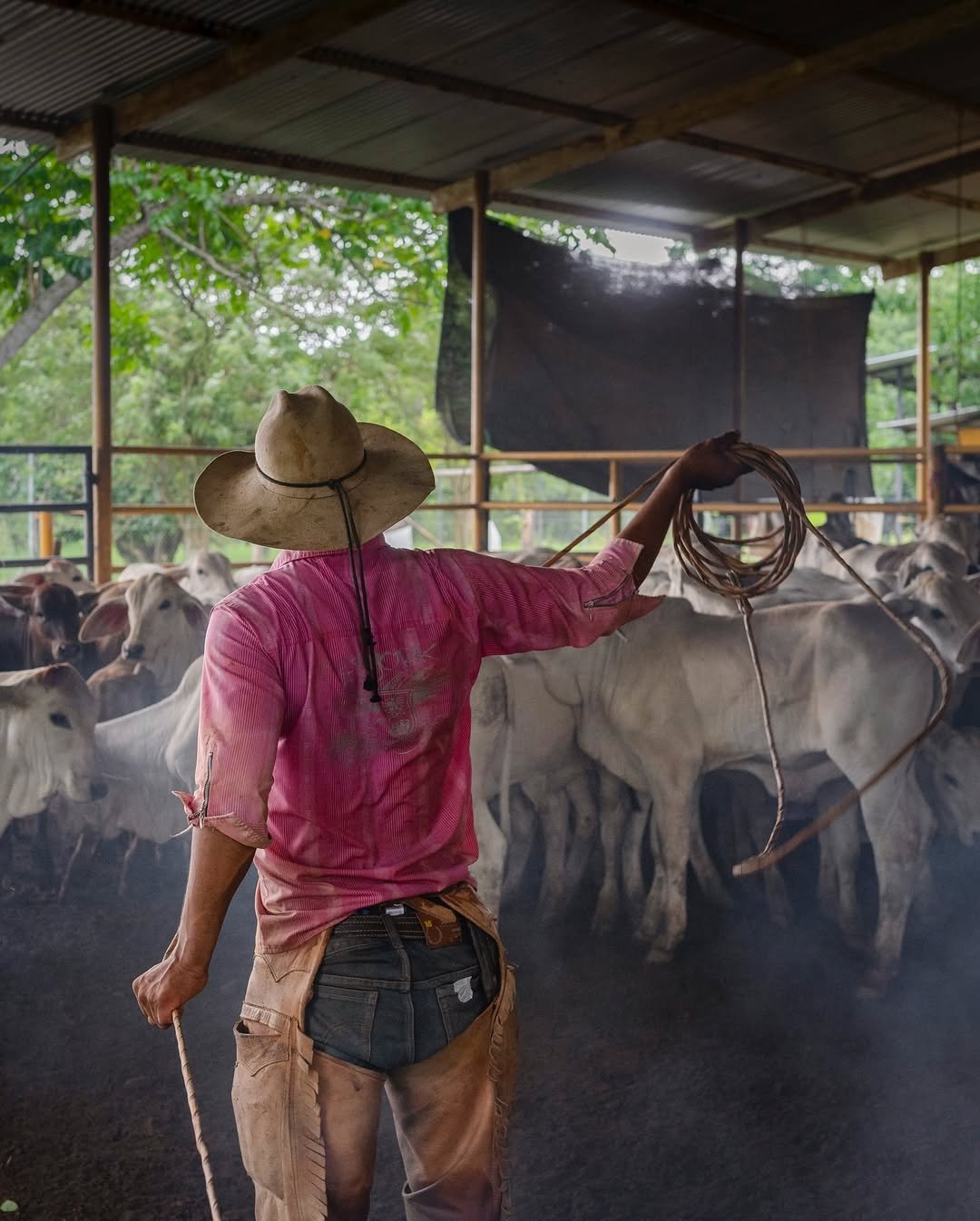 468126749_1106092571008282_2427013220573040057_n