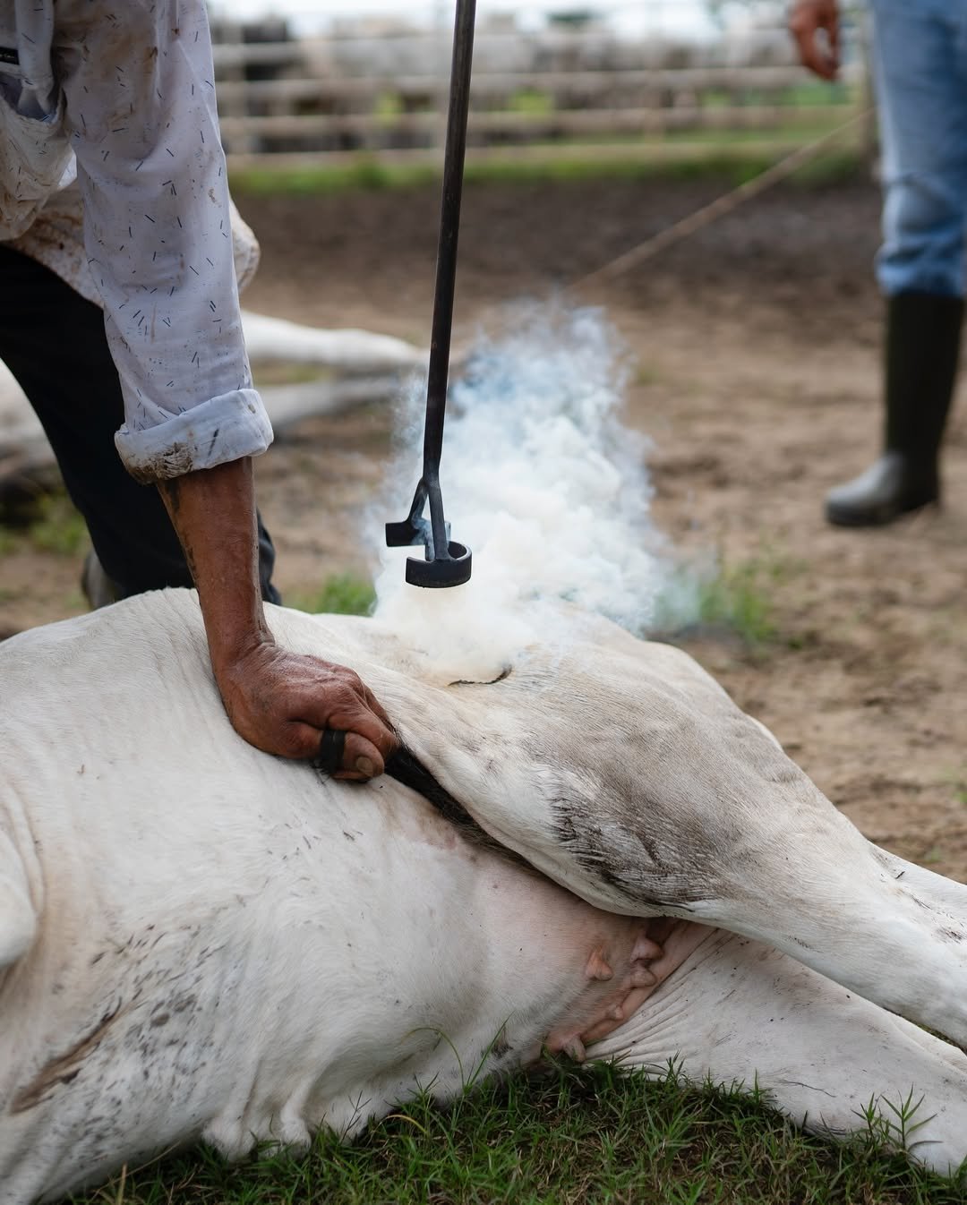 468135951_885249637000943_8399057530184981938_n