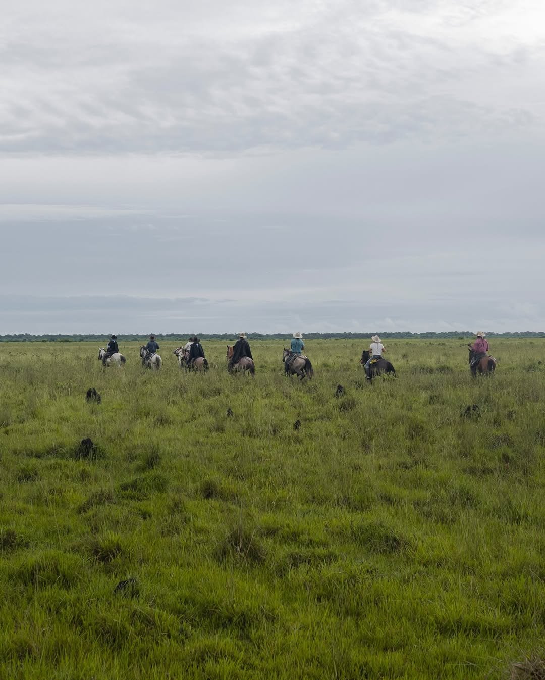 468303126_450471044451283_4851204106411877743_n