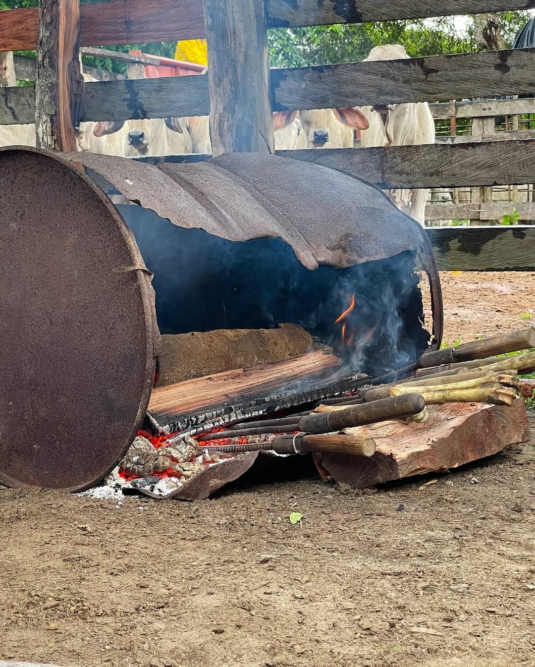 468305874_1537043093663079_3588637184895191293_n