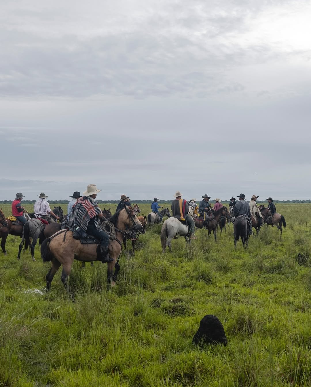 468500118_1121095113350003_8010880036411862644_n