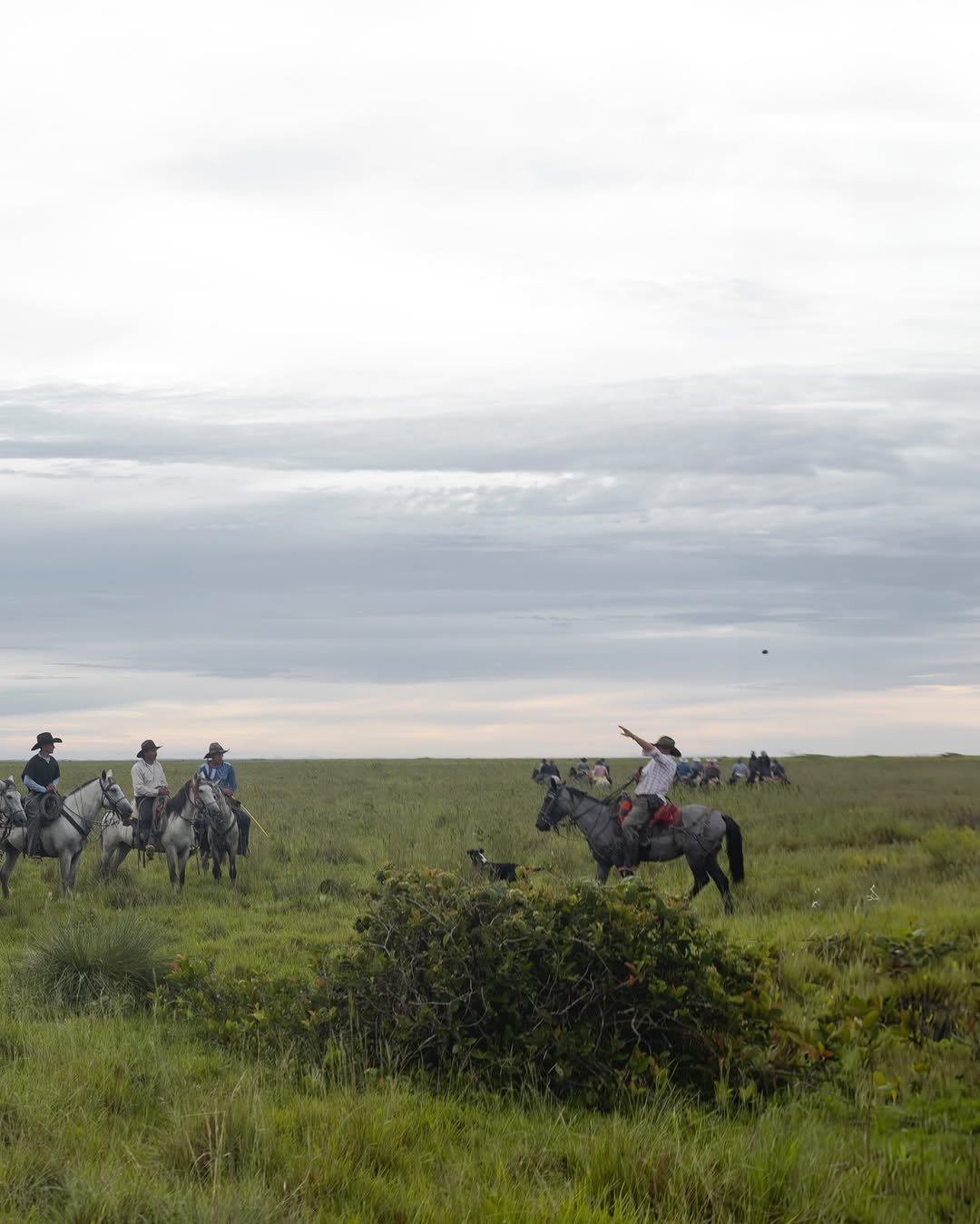 468561840_9024810630941237_4767991809239347955_n