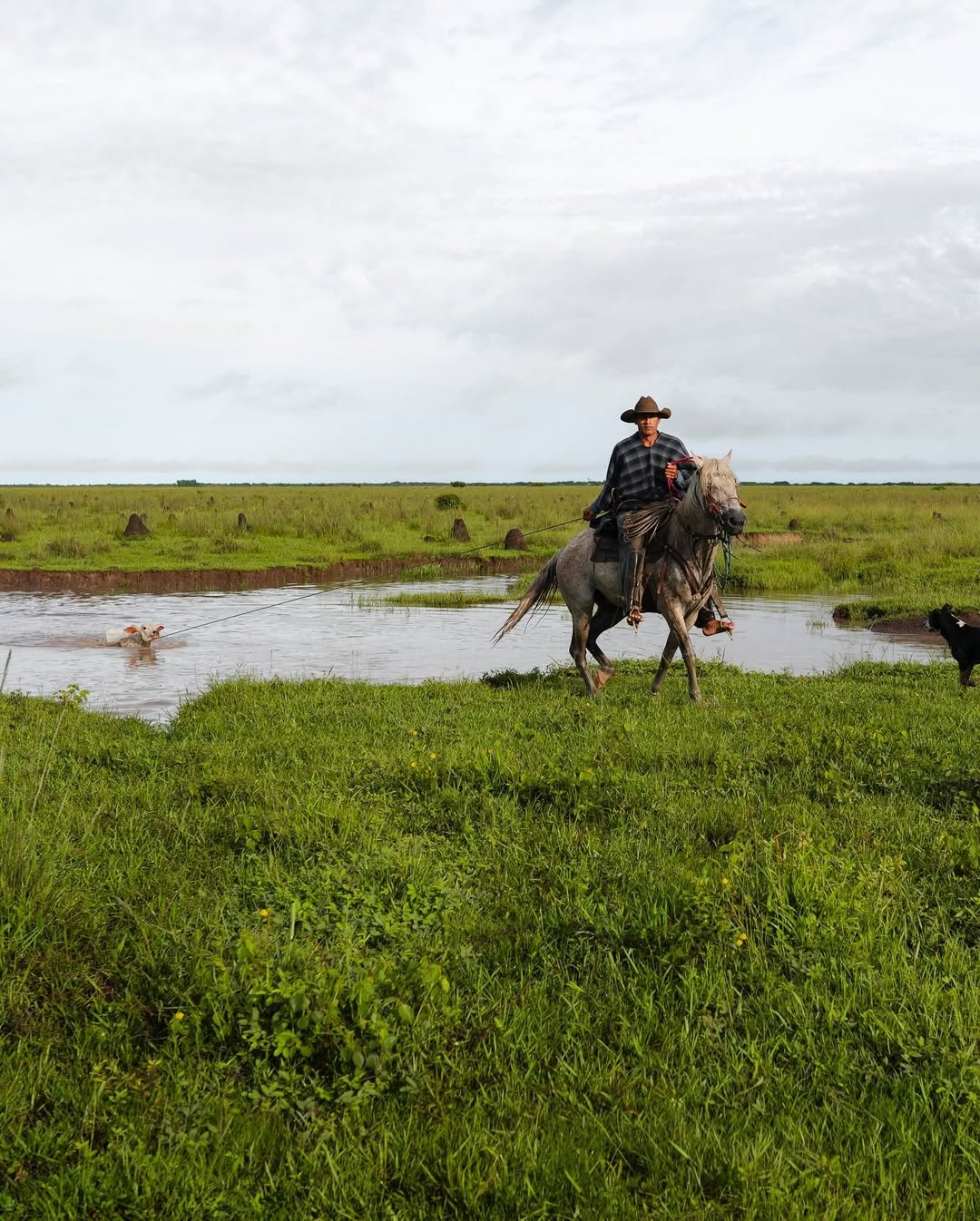 469279474_1285490485915011_7230139759945700969_n