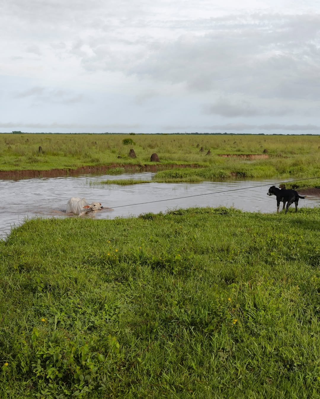 469417348_591828616670119_5701682709350998357_n