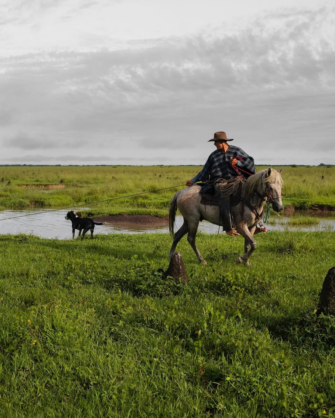 469587361_499430492459108_384602948499688529_n