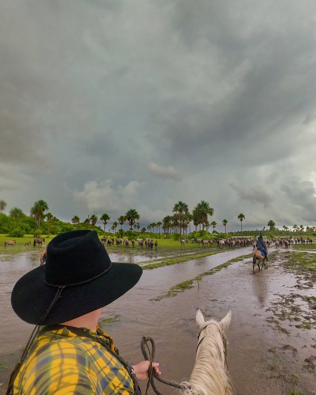 504089991_18403815277105354_655745848742522262_n